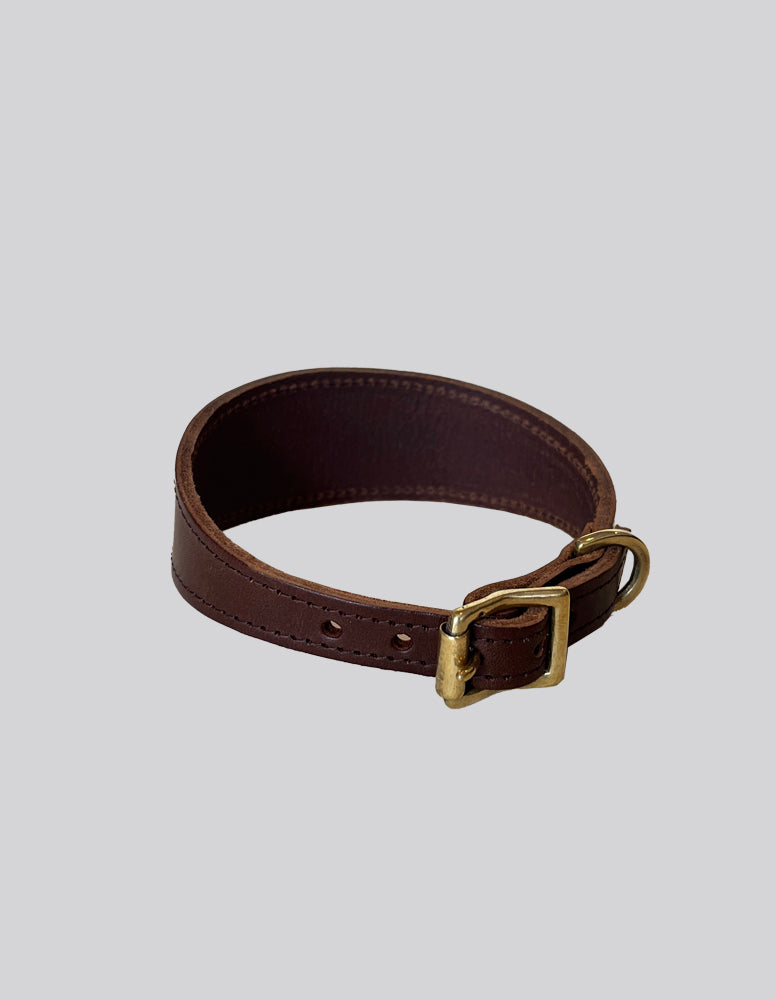 Sighthound collar - Brown - Medium