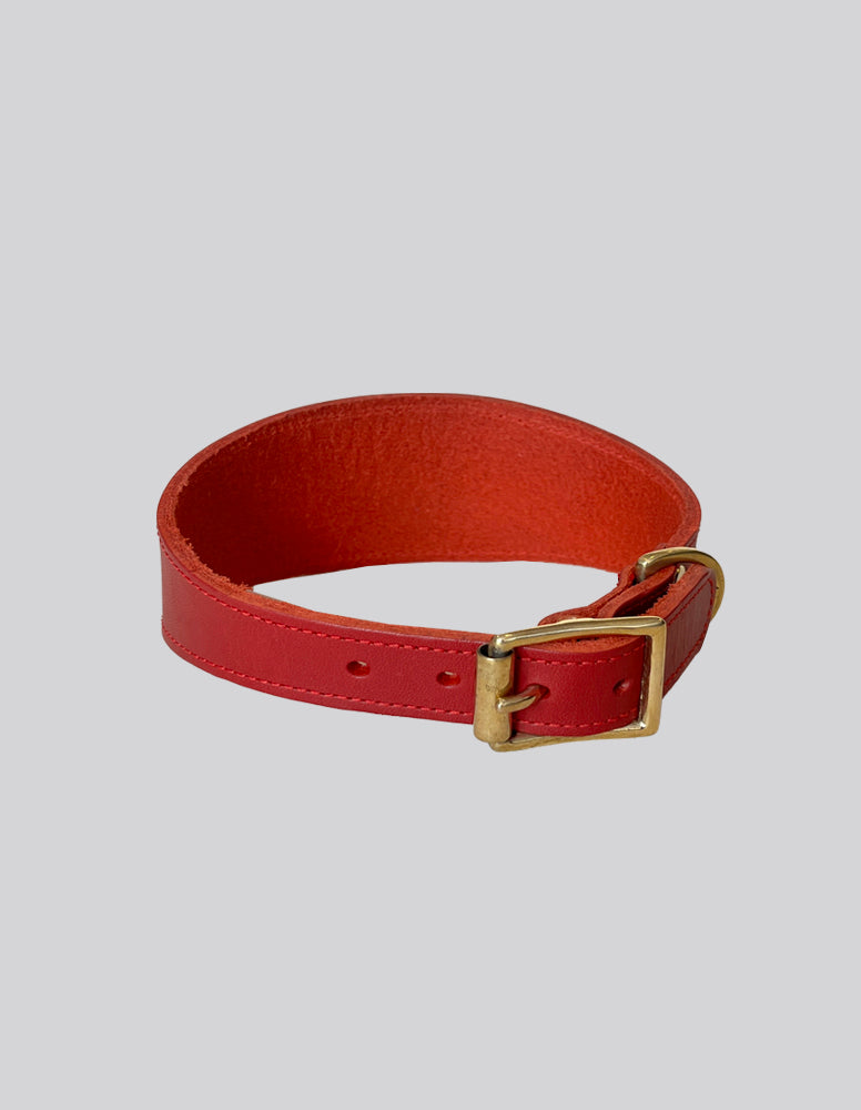 Sighthound collar - Red - Medium