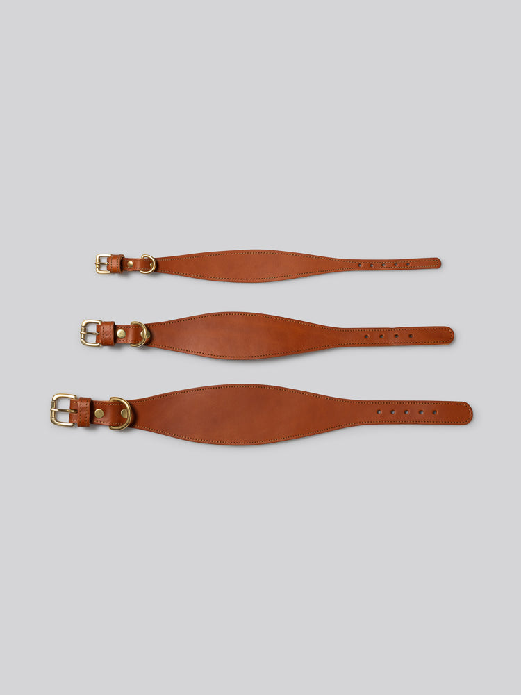 Sighthound collar - Tan - Small