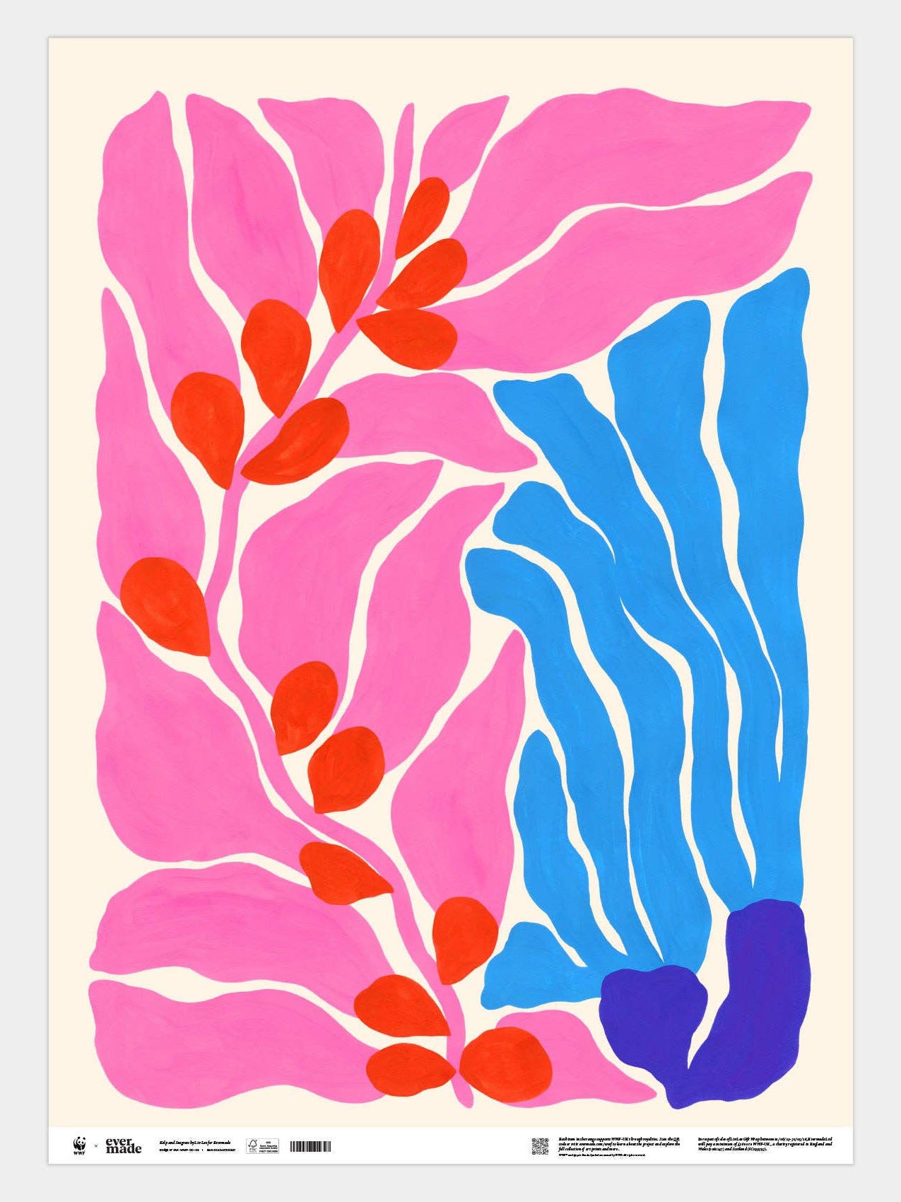 Kelp and Seagrass Colourful Gift Wrap