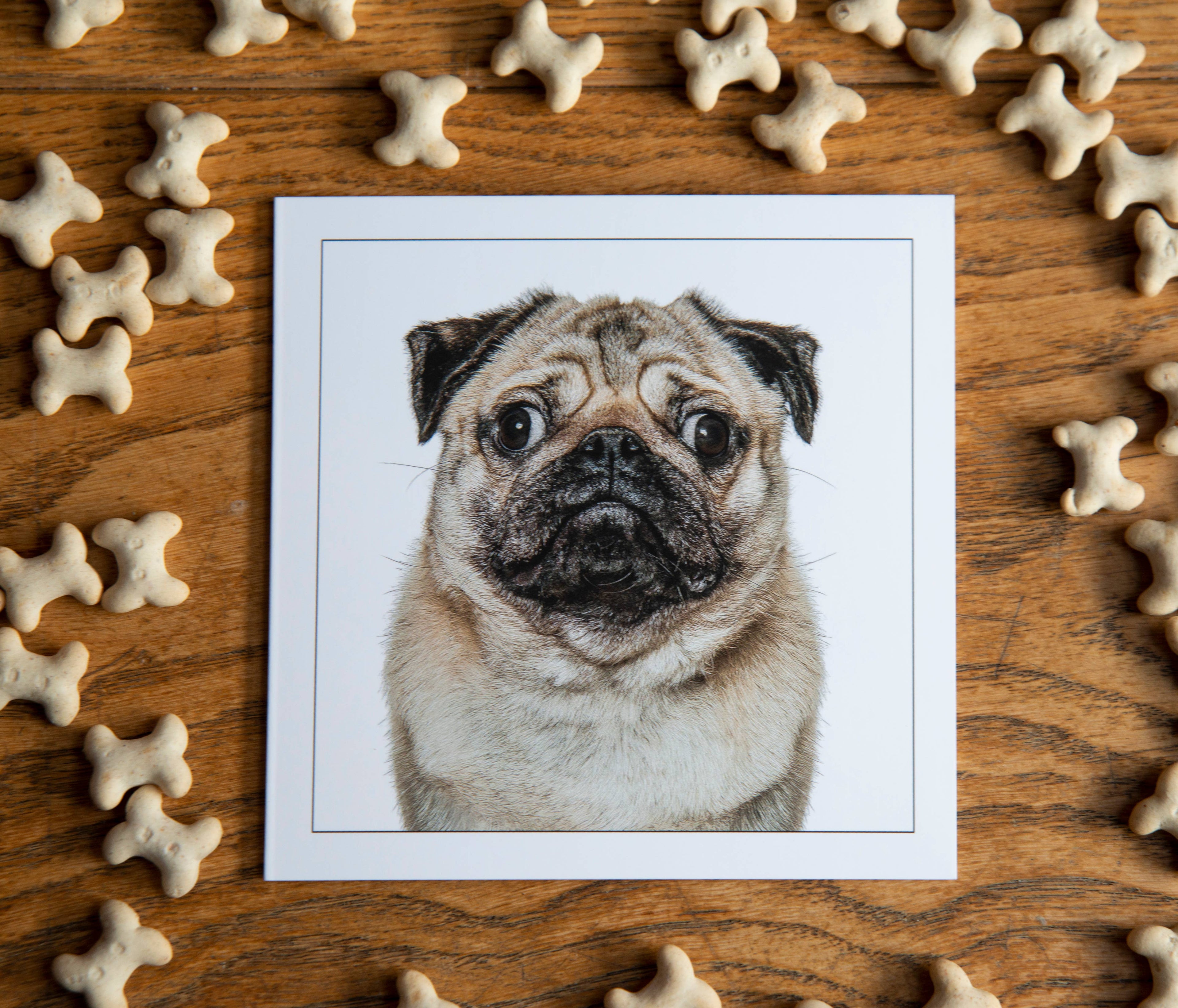 Pug - Dog Greeting Card  : 15X15