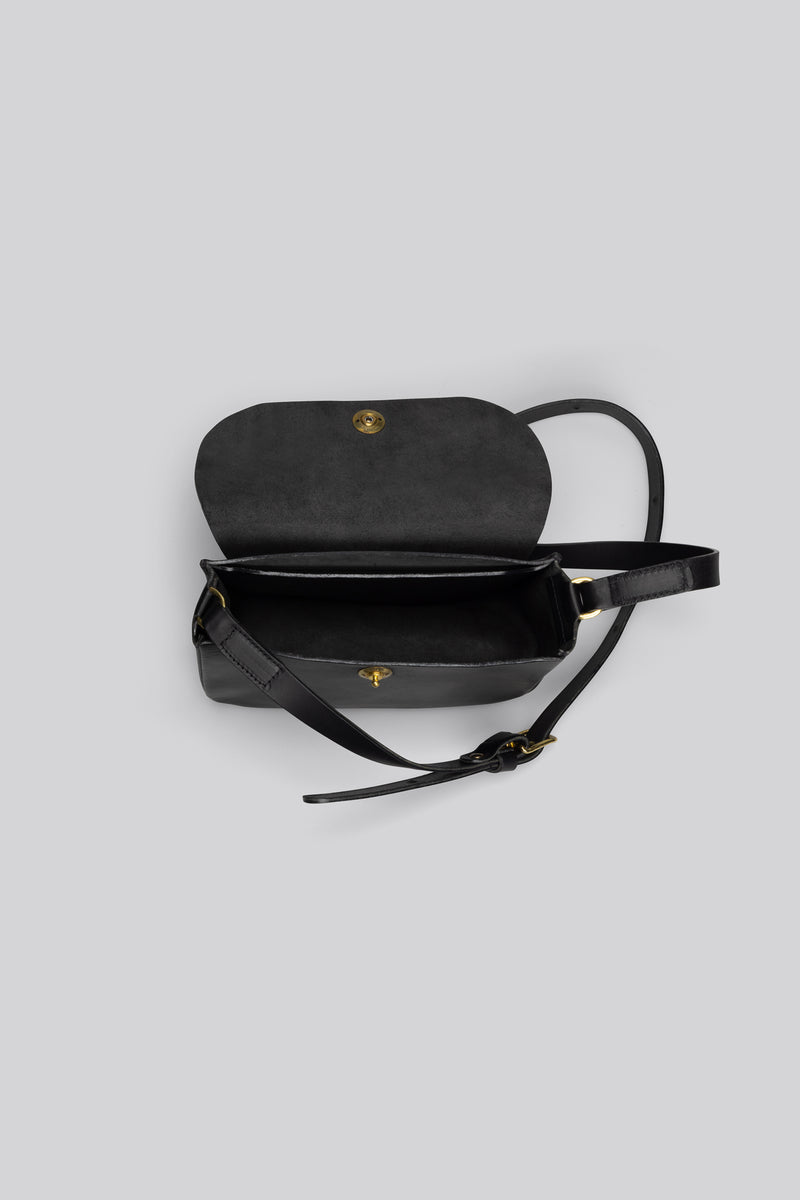 Coot - Black