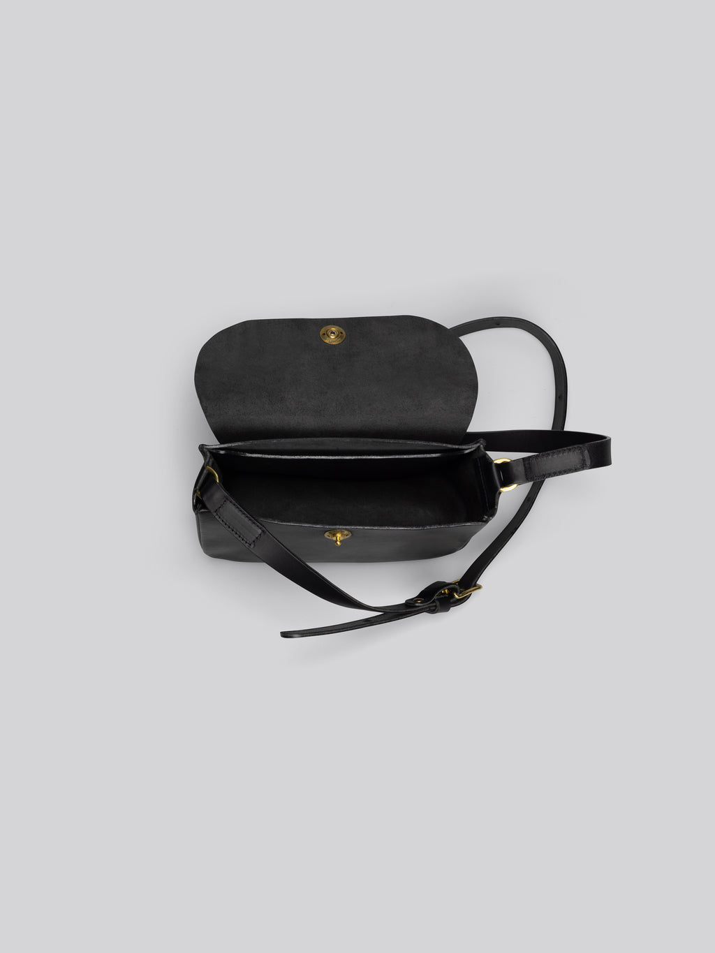 Coot - Black
