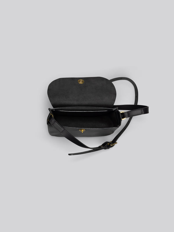 Coot - Black