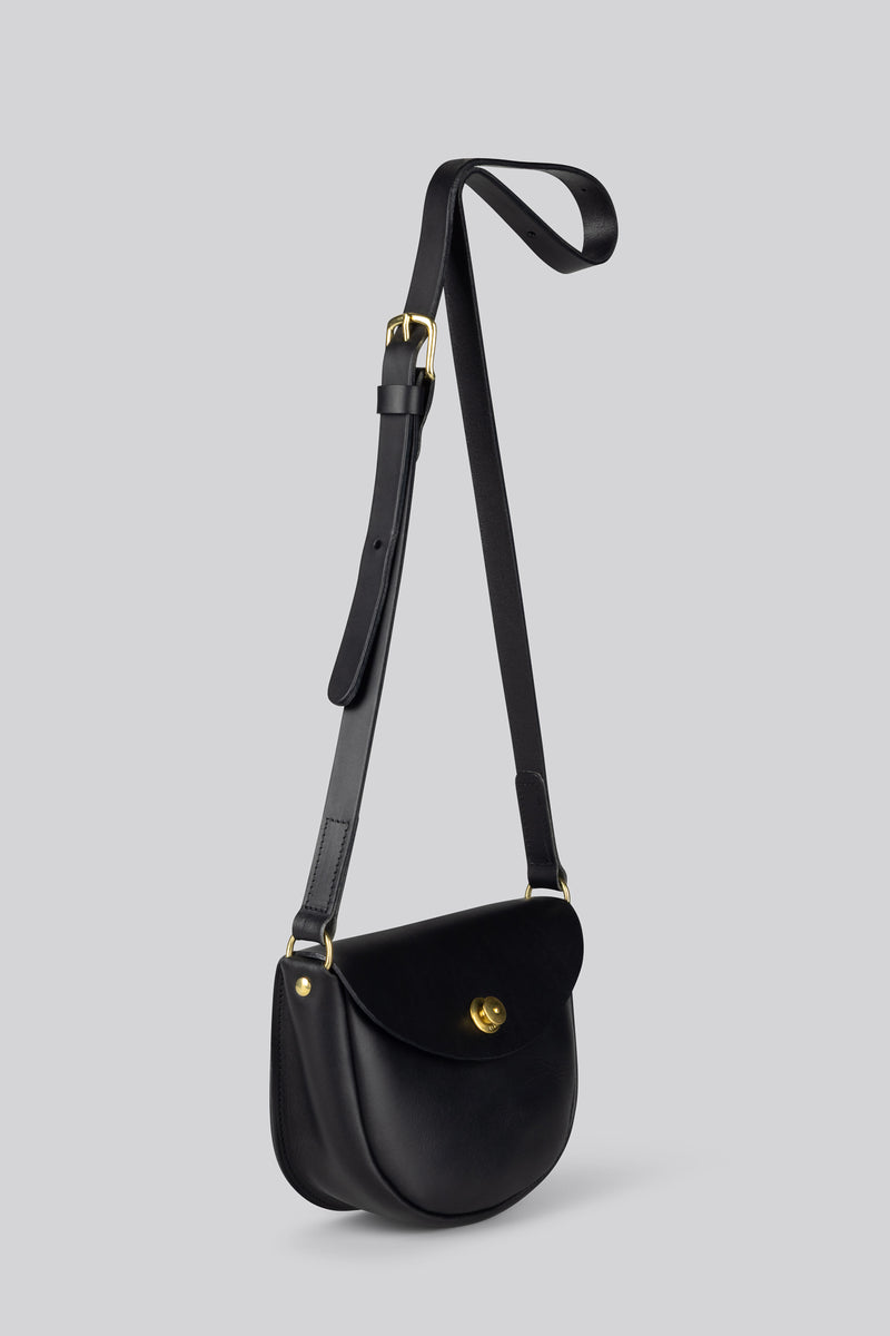 Coot - Black