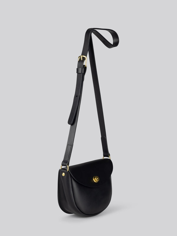 Coot - Black