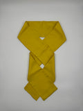 Silk Twill Long Scarf - Citrus