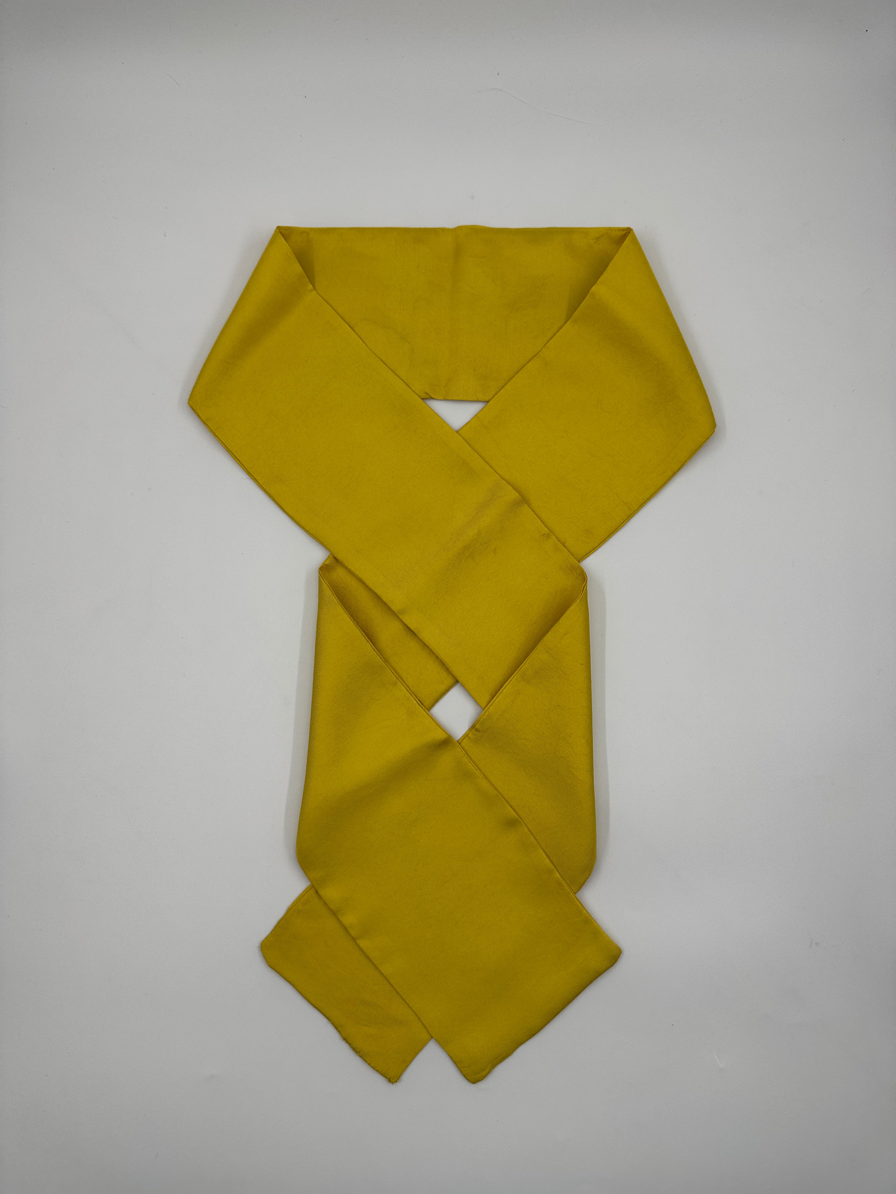 Silk Twill Long Scarf - Citrus