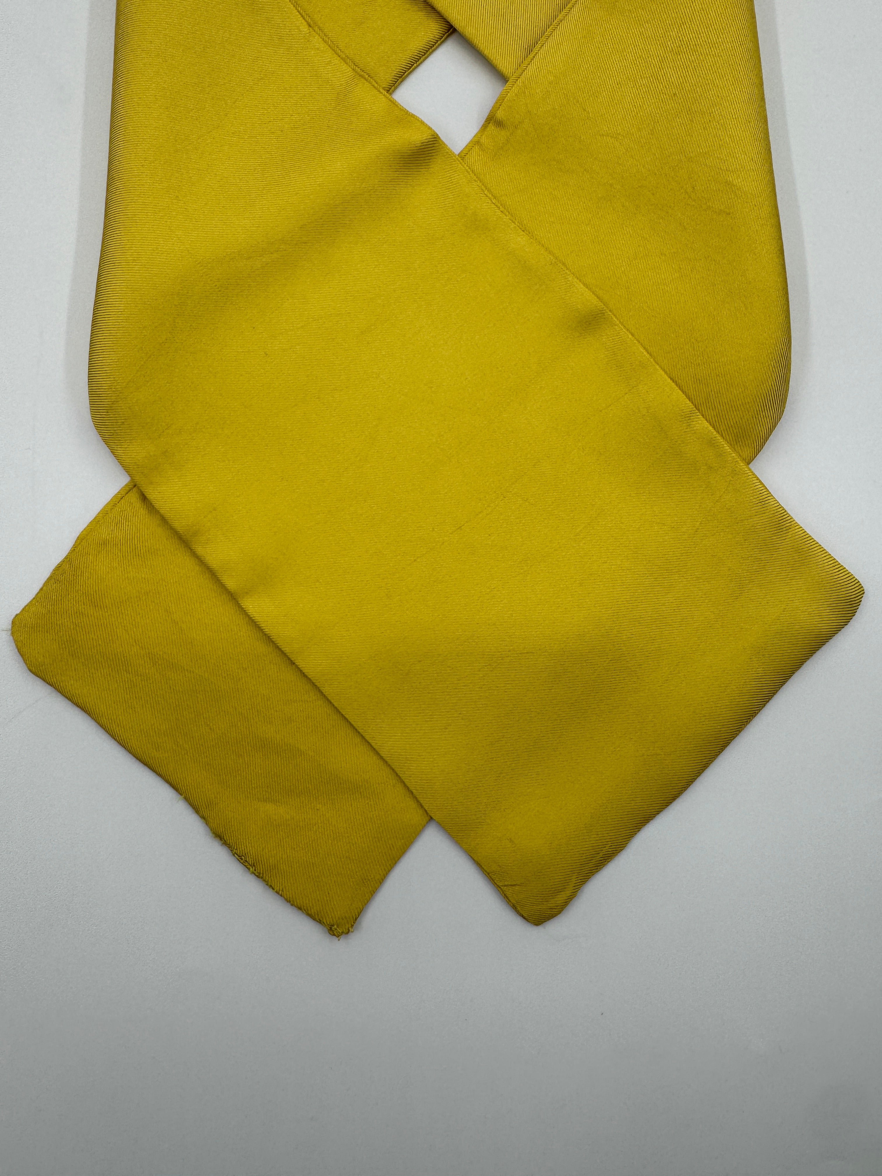 Silk Twill Long Scarf - Citrus