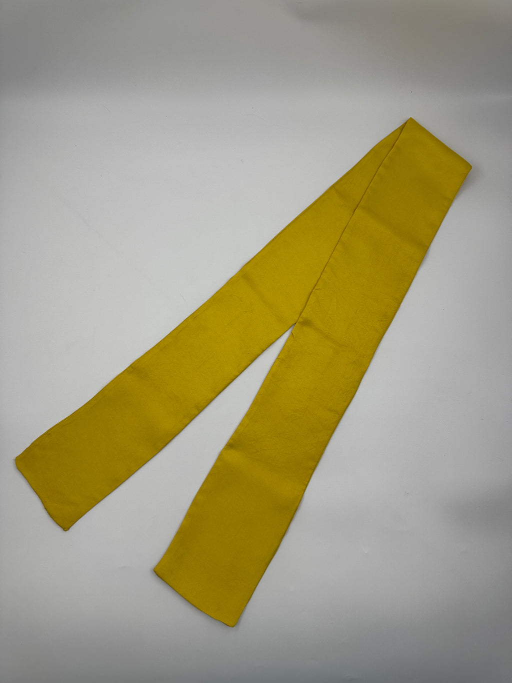 Silk Twill Long Scarf - Citrus