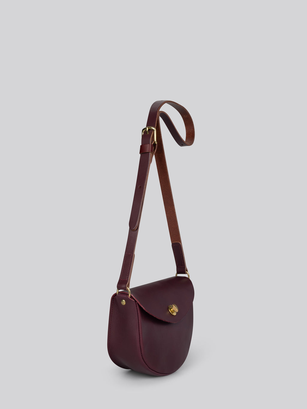 Coot - Plum