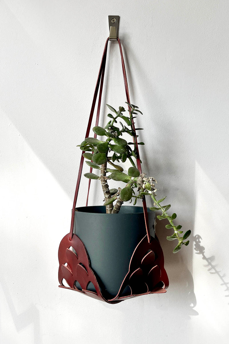 Plant Hanger - Berry