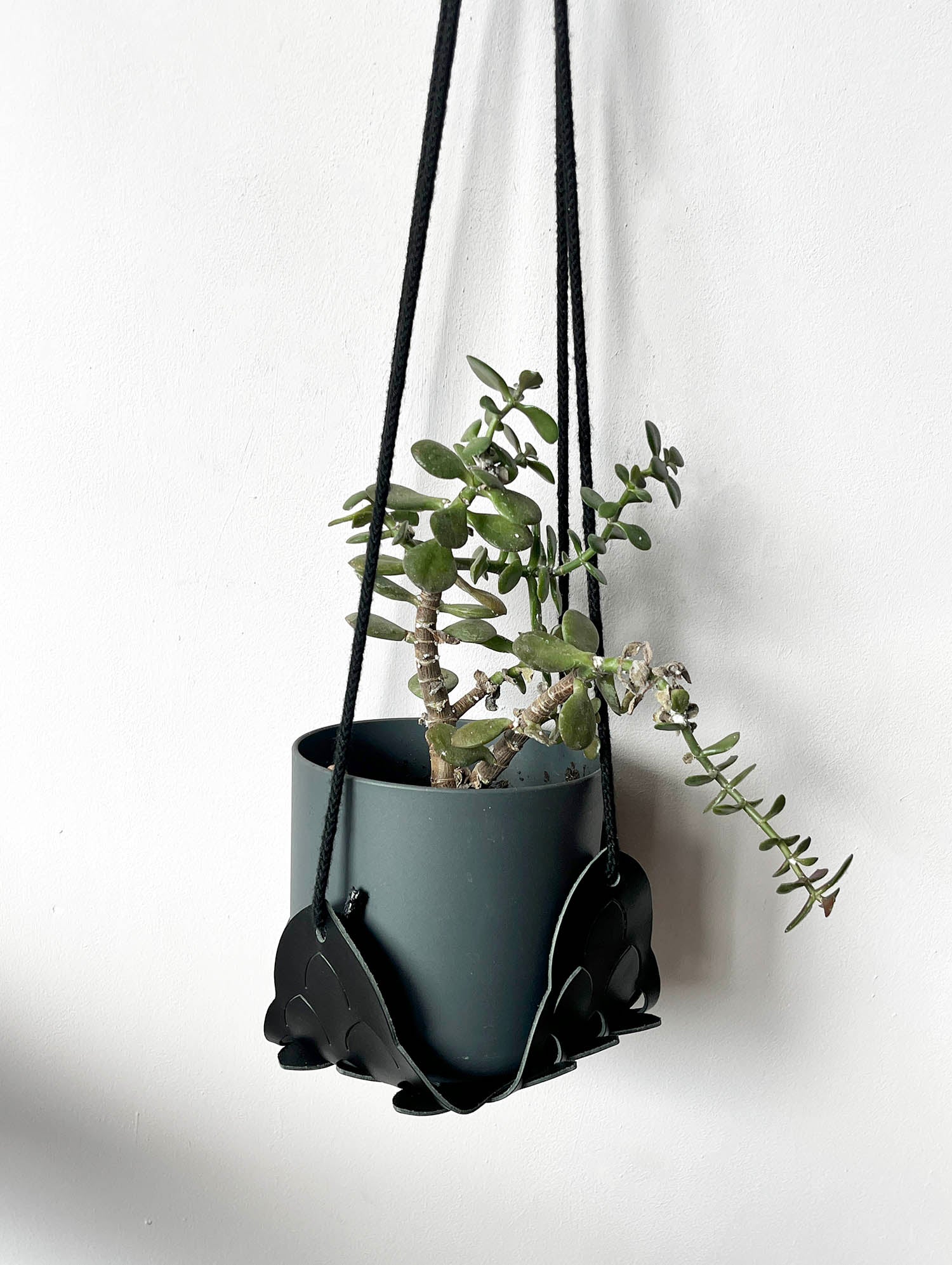 Plant Hanger - Black