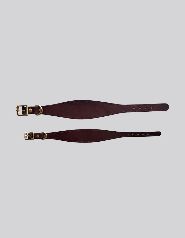 Sighthound collar - Brown - Medium
