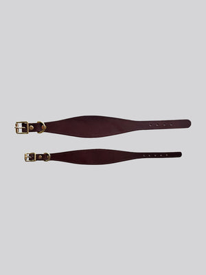 Sighthound collar - Brown - Medium