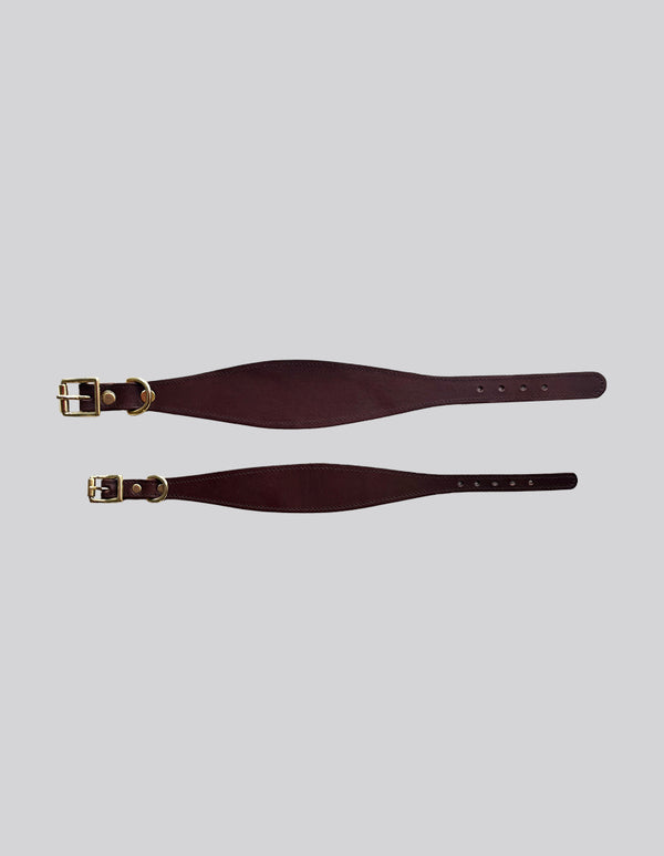 Sighthound collar - Brown - Medium