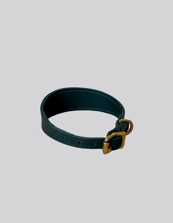Sighthound collar - Green - Small