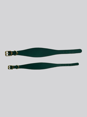 Sighthound collar - Green - Medium