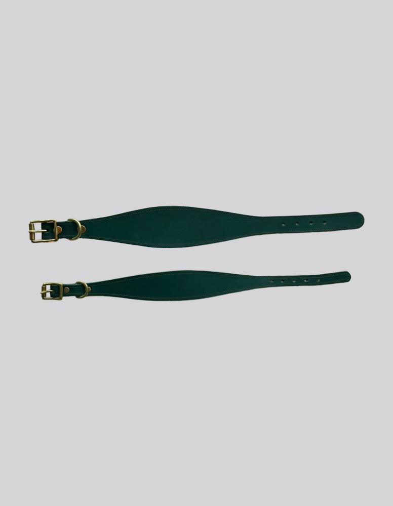 Sighthound collar - Green - Medium}