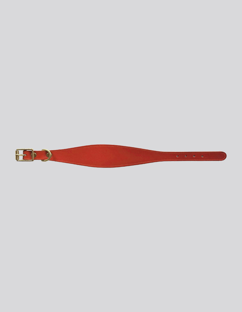 Sighthound collar - Red - Medium