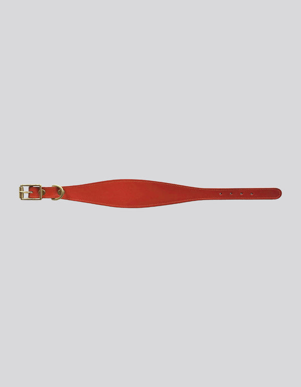 Sighthound collar - Red - Medium