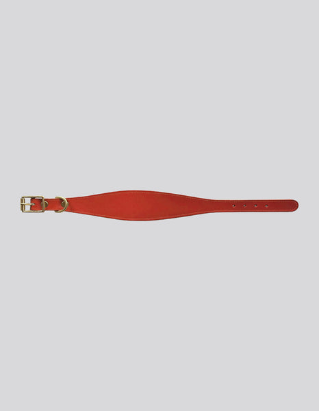 Sighthound collar - Red - Small