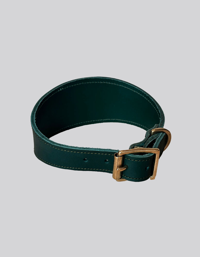 Sighthound collar - Green - Medium}