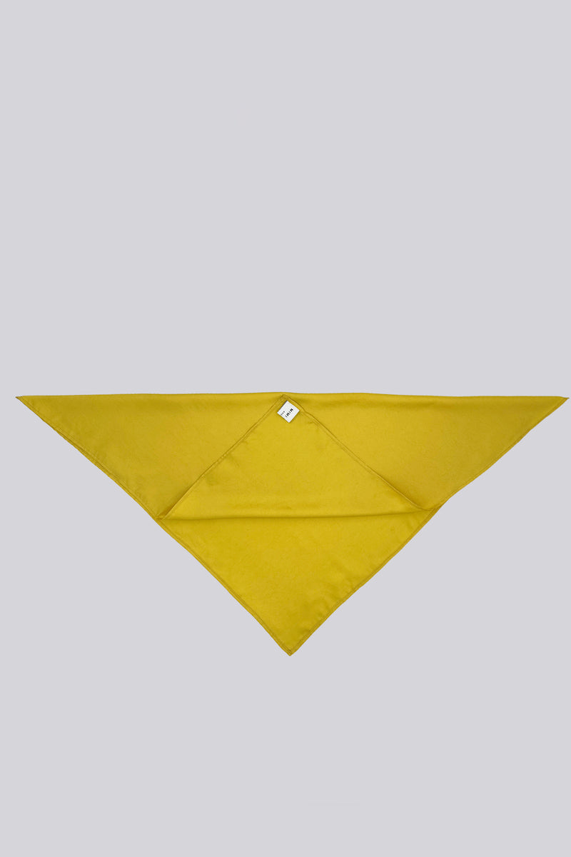 Silk Twill Scarf - Citrus