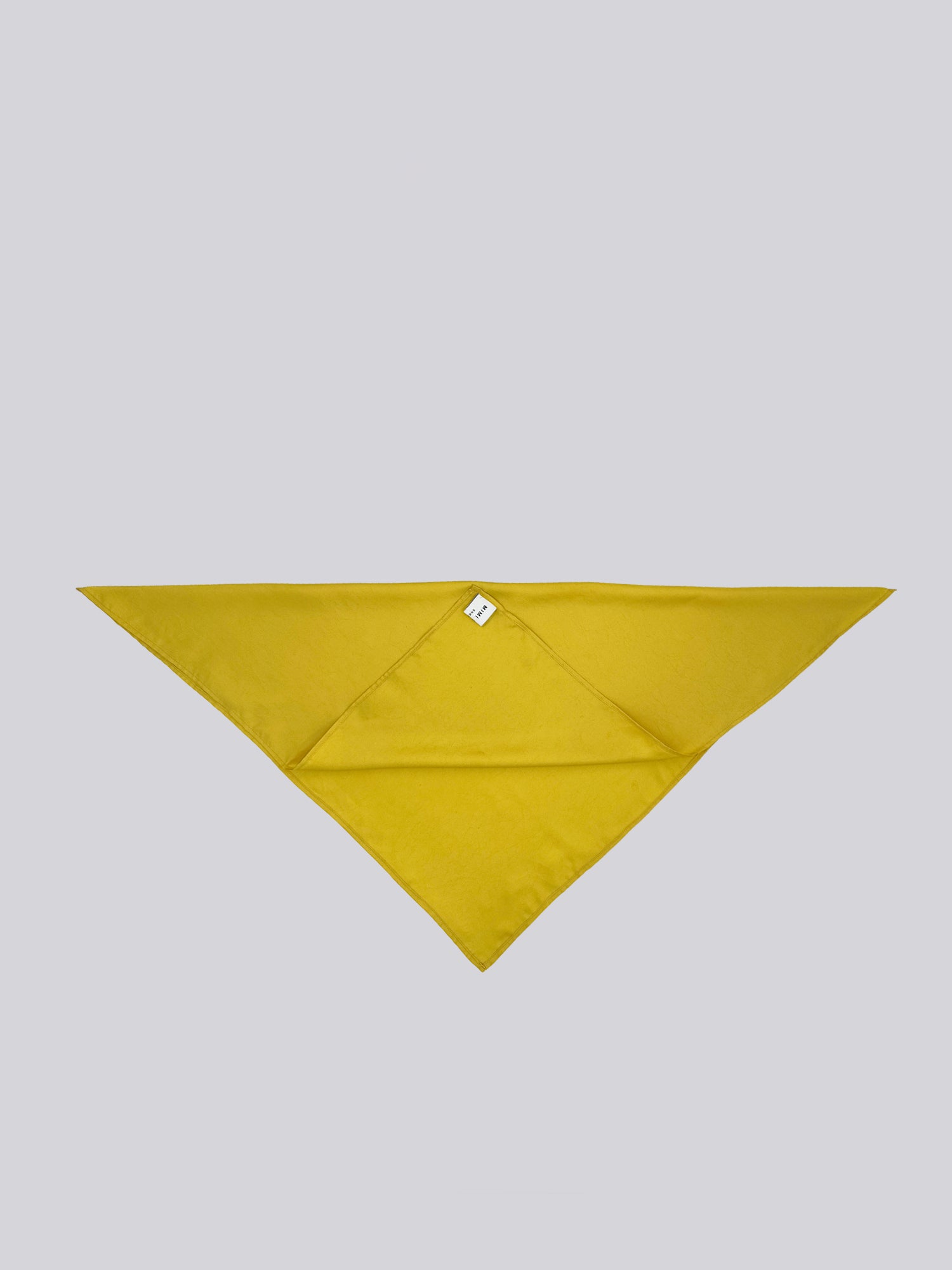 Silk Twill Scarf - Citrus