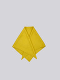 Silk Twill Scarf - Citrus