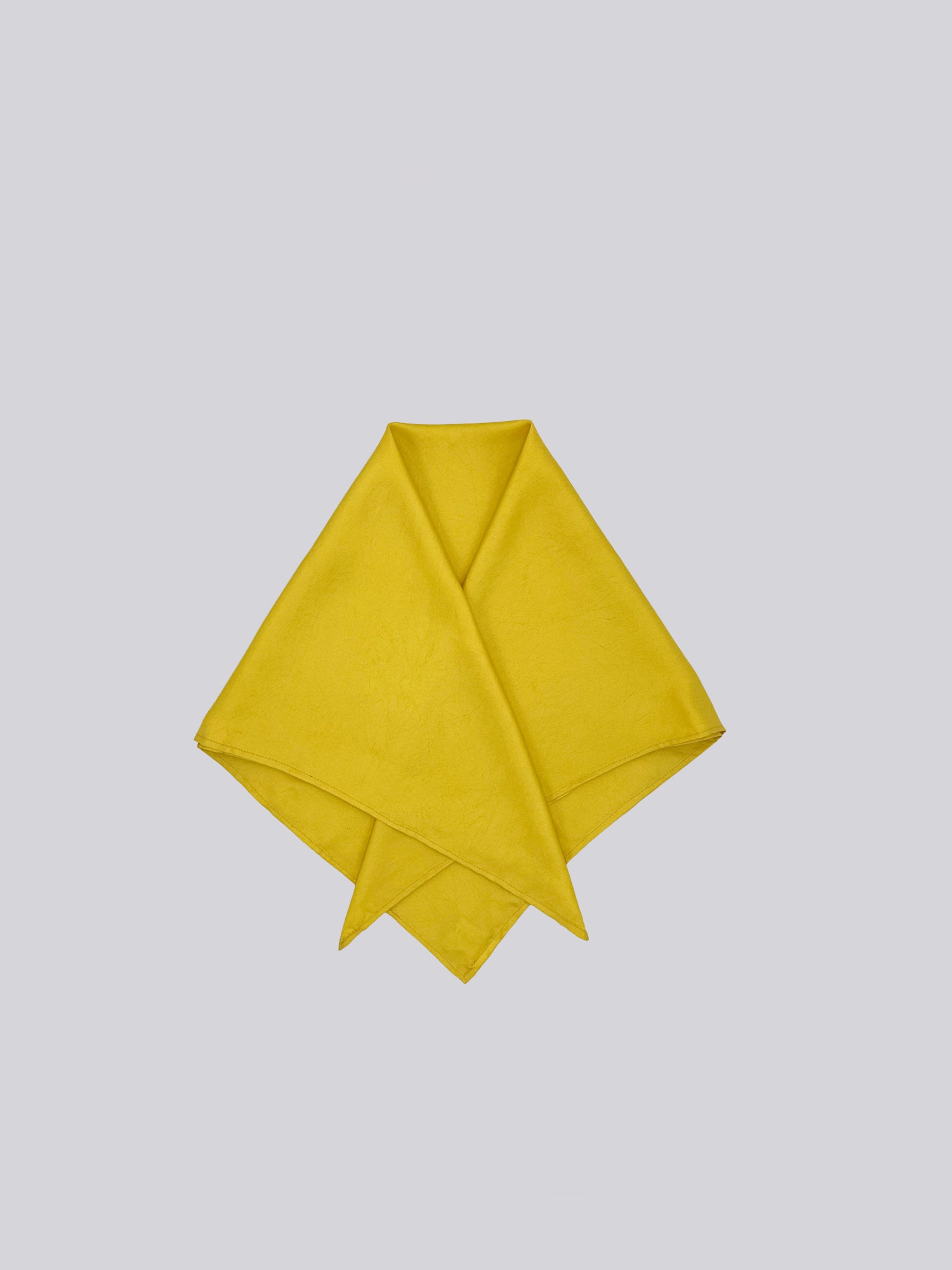 Silk Twill Scarf - Citrus