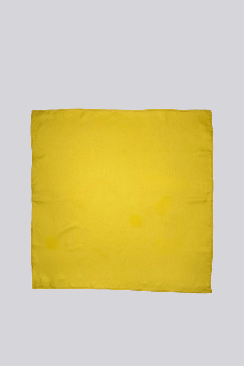 Silk Twill Scarf - Citrus