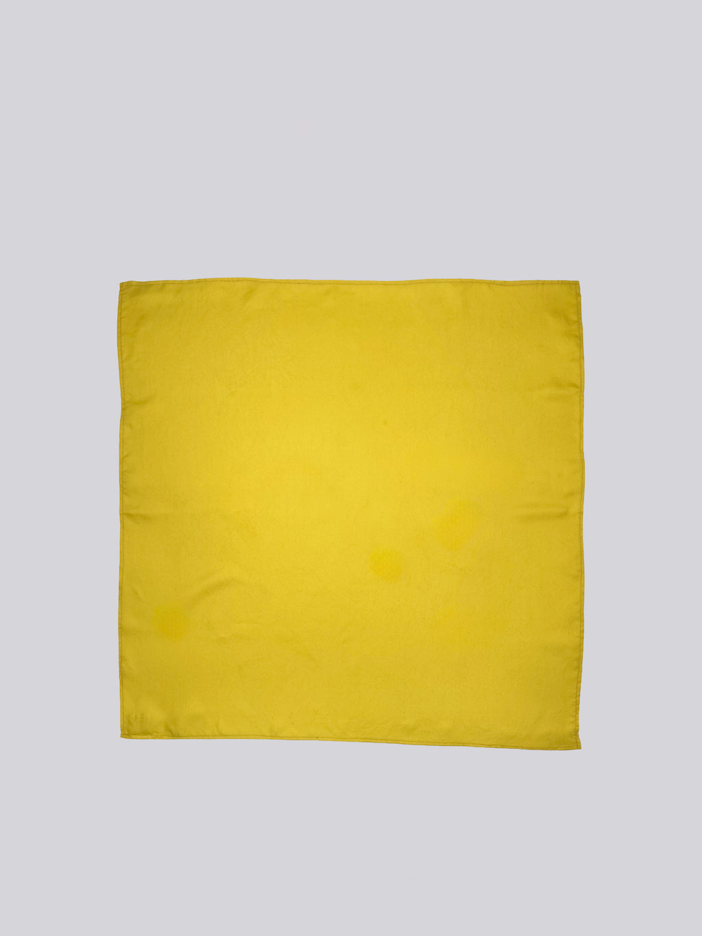 Silk Twill Scarf - Citrus