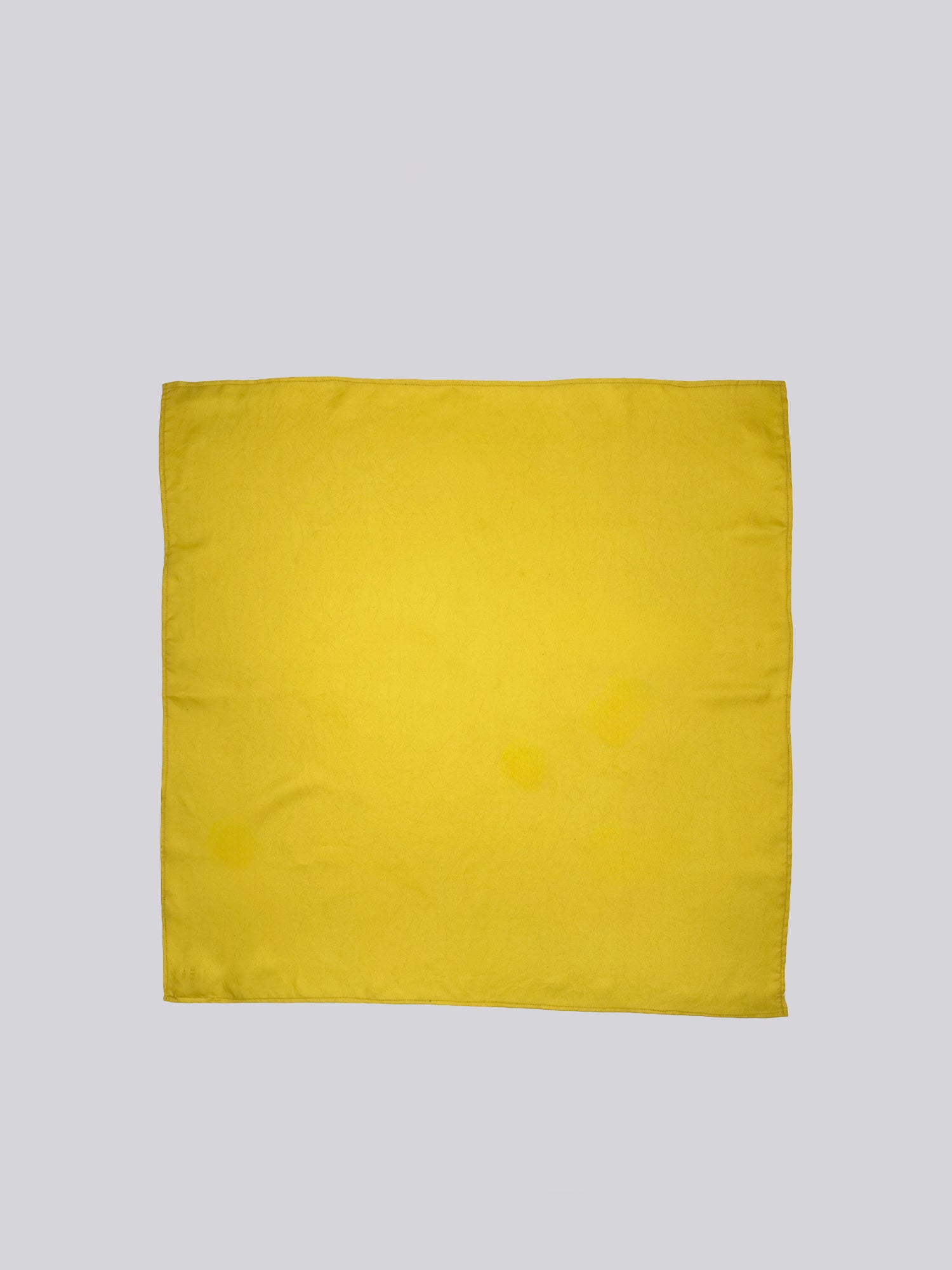 Silk Twill Scarf - Citrus