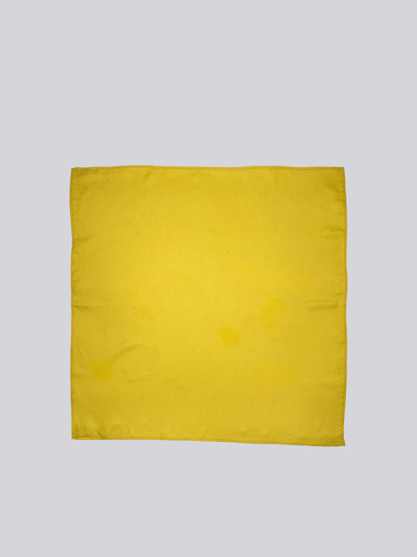 Silk Twill Scarf - Citrus