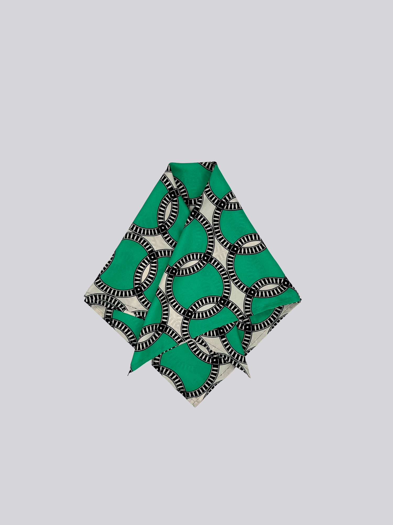 Silk Twill Scarf - Printed Green
