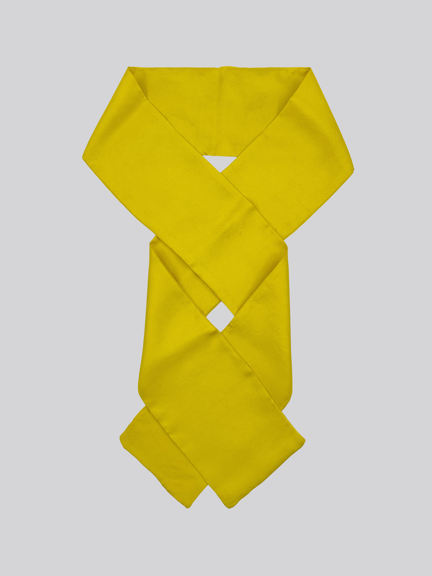 Silk Twill Long Scarf - Citrus