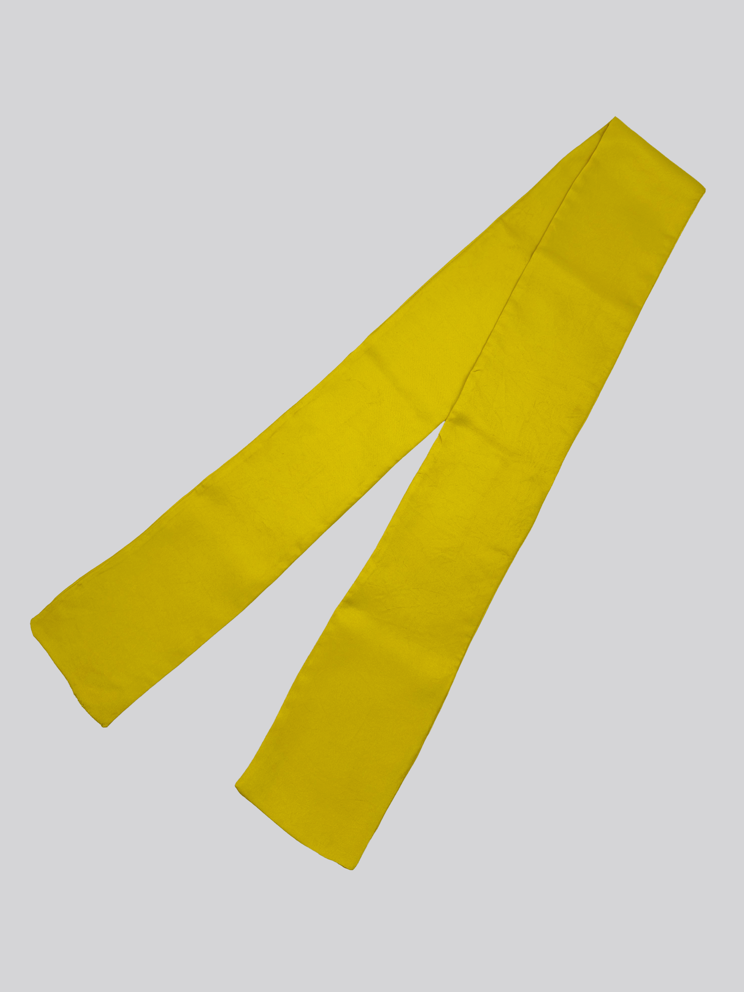 Silk Twill Long Scarf - Citrus
