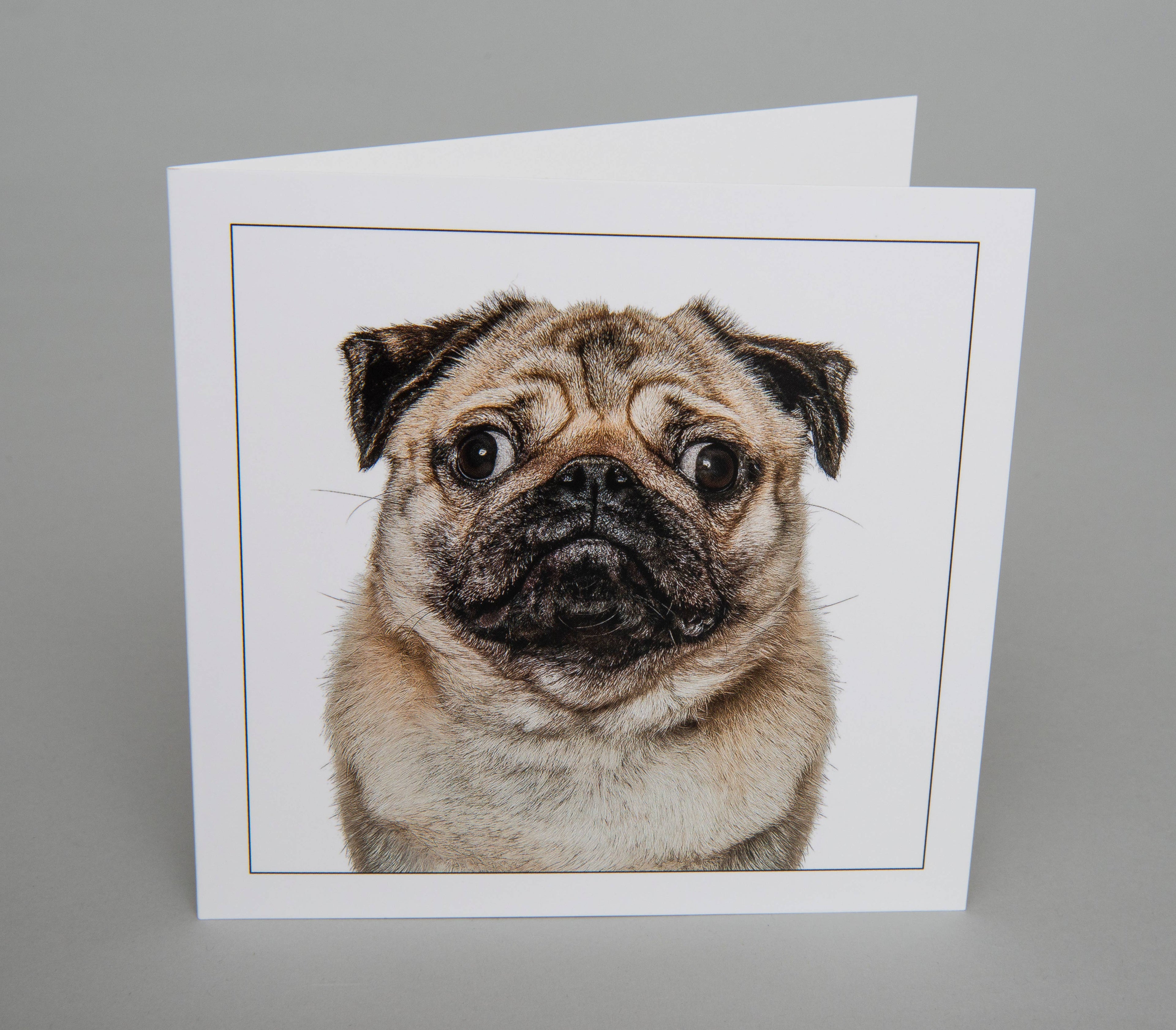 Pug - Dog Greeting Card  : 15X15