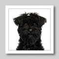 Black Schnauzer - Dog Greeting Card