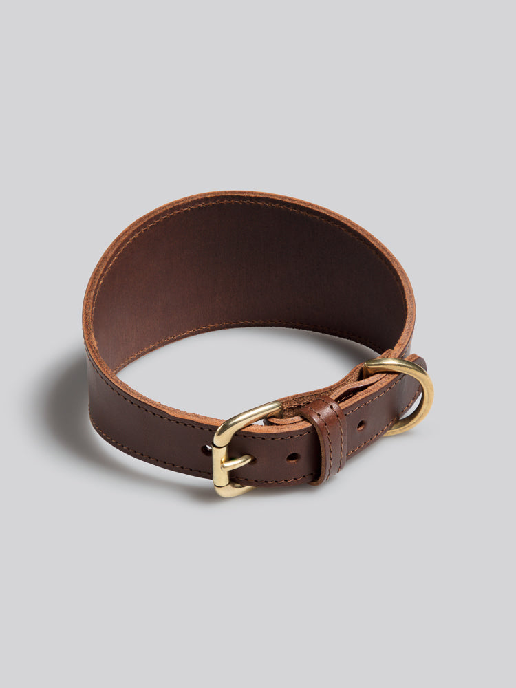Sighthound collar - Gold - Medium