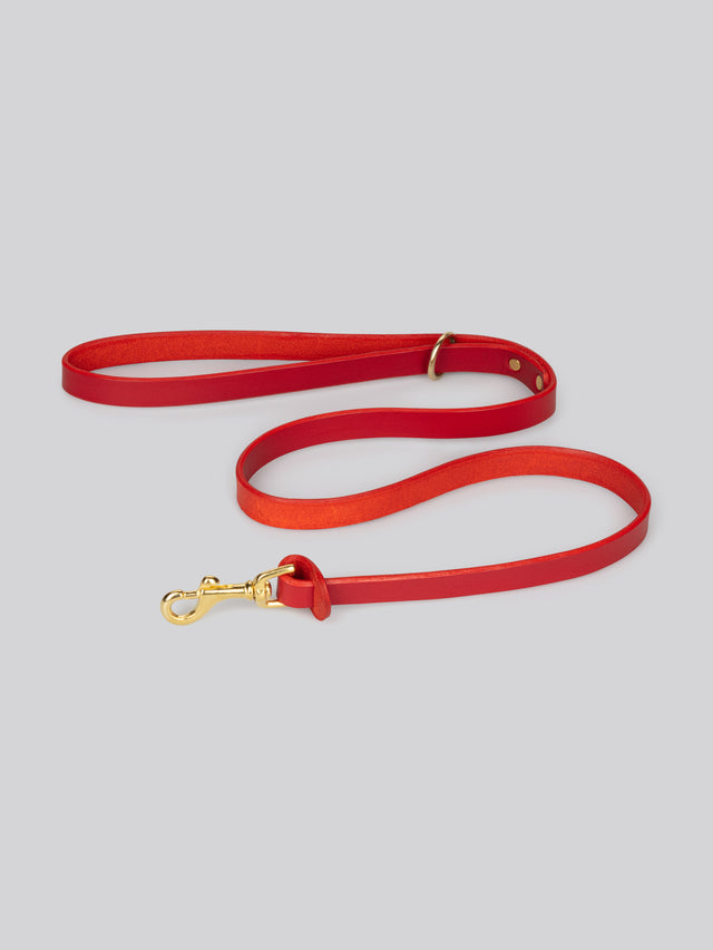 Dog Lead - Red