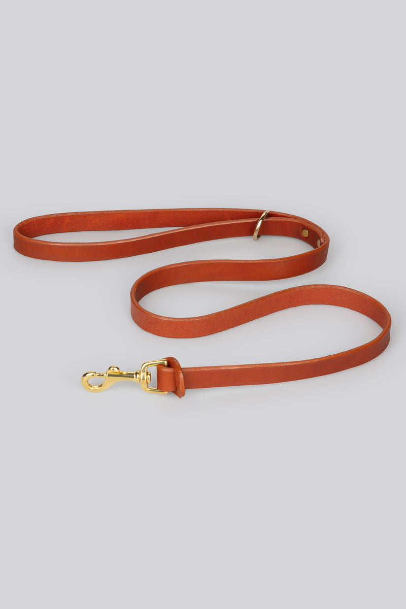Dog Lead - Tan
