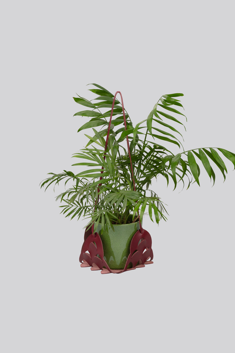 Plant Hanger - Berry