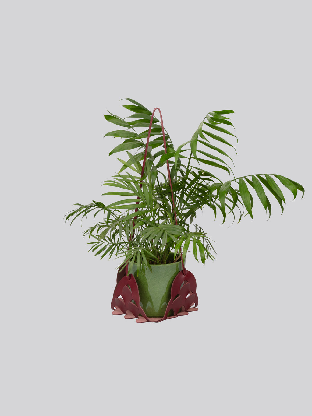 Plant Hanger - Berry