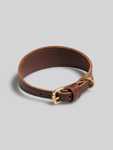 Sighthound collar - Black