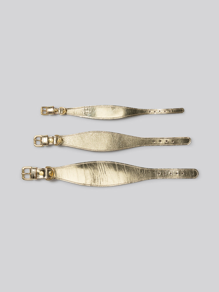 Sighthound collar - Gold - Medium