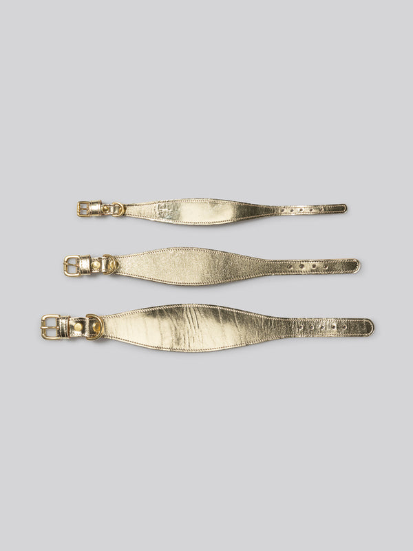 Sighthound collar - Gold - Small