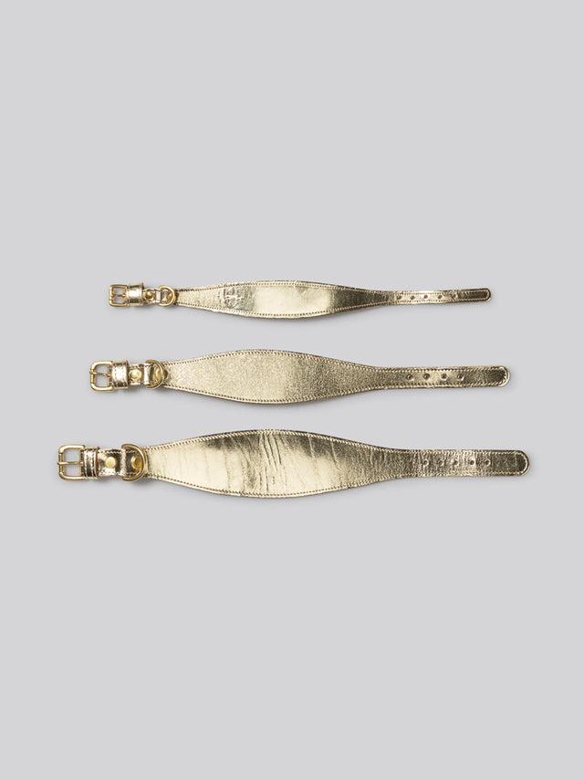 Sighthound collar - Gold