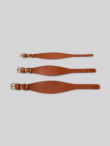 Sighthound collar - Tan